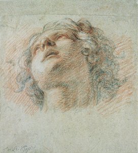 Kopf eines Jugendlichen, von unten gesehen von Charles de la Fosse