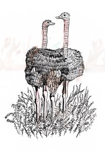 Flamingos, 2018 von Charlotte Orr