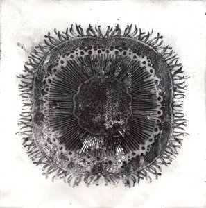 Pflanzenzellen, 2019 von Charlotte Orr