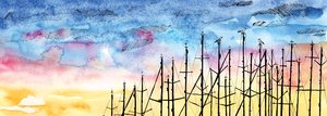 Die Geschichte der Möwe, 2020 von Charlotte Orr