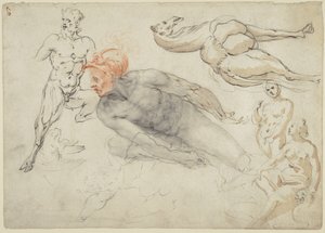Studien von männlichen und weiblichen Akten, einem Satyr und einem Kamel (recto); Statue von Marcus Aurelius (verso) von Cherubino Alberti