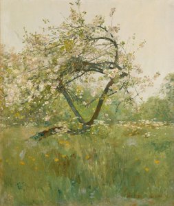 Pfirsichblüten, Villiers-le-Bel