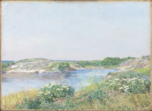 Der kleine Teich, Appledore
