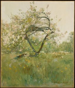 Pfirsichblüten—Villiers-le-Bel