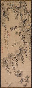 Weinrebe von China, Qing dynasty