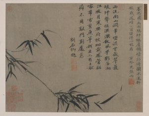 Ein Bambusspross, möglicherweise Qing-Dynastie