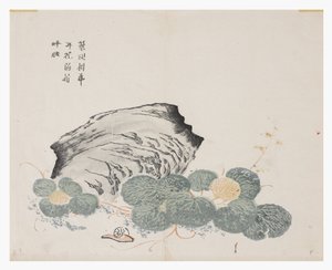 Senfkorn-Garten von Chinese School