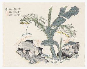 Garten der Senfsamen von Chinese School