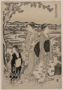 Omu der Papagei (aus der Serie Sieben elegante Episoden aus dem Leben der Dichterin Ono no Komachi) von Chobunsai Eishi