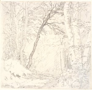 Weg durch einen Wald