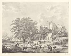 Herde von Vieh bei der Ruine von Schloss Brederode