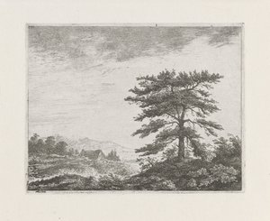 Baum in einer Heidelandschaft von Christiaan Wilhelmus Moorrees