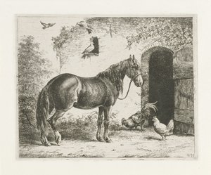 Pferd mit Halfter