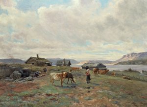 Morgenstimmung in Holmvassbu
