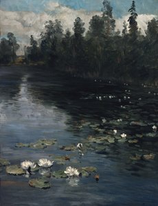 Seerosen