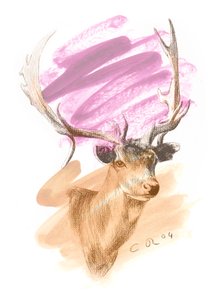 Hirschkopf - Cerise Sienna, 2004 von Christian Furr