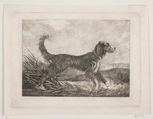 Ein Hund von Christian Holm
