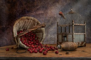 Vintage-Vogelkäfig und Kirschen von Christian MARCEL