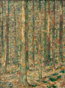 Kiefernstämme im Sonnenlicht von Christian Rohlfs