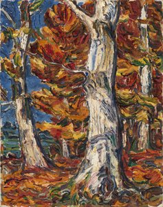 Weiße Buchen im Herbst von Christian Rohlfs