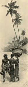 Gruppe von Männern, Colombo, Ceylon, 1898