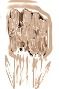 Zarte Sepia-Blumen von Christina Sillen