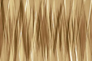 Dynamische Goldene Streifen von Christina Sillen