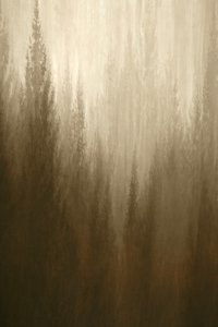 Waldnebel von Christina Sillen