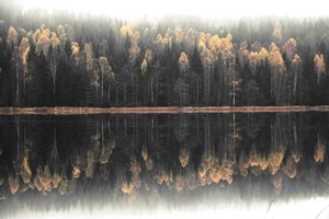 Neblige Herbstreflexion von Christina Sillen