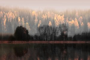 Nebelige Herbstreflexionen
