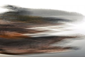 Nebliger Waldhorizont von Christina Sillen