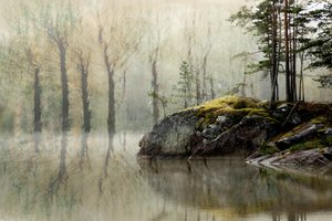 Nebliger Waldsee