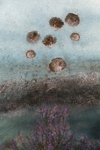 Lila Blüten und abstrakter Himmel von Christina Sillen