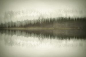 Einsamer Birkensee von Christina Sillen
