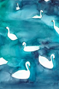 Anmutige Schwäne auf dem Wasser von Christine Lindstrom