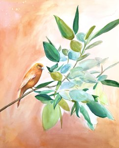 Orangener Vogel auf Ast von Christine Lindstrom