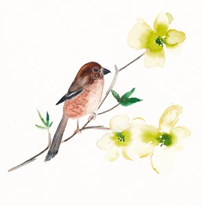 Aquarell Vogel Blumen