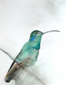 Aquarell Türkiser Kolibri