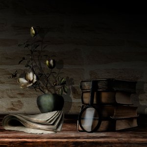 Antike Bücher und Blumen von Christine SUISSIA