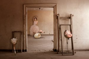Flamingo-Balletttraum von Christine von Diepenbroek