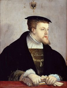 Porträt von Kaiser Karl V.