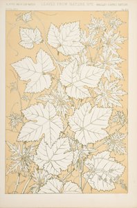 Blätter aus der Natur, 1868