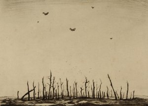 Der verfluchte Wald von Christopher Richard Wynne Nevinson