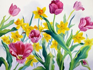 Narzissen und Tulpen