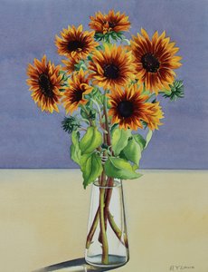 Sonnenblumen