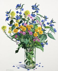 Wildblumen mit Alkanet, 2021 von Christopher Ryland
