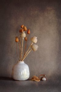  von Cicek Kiral