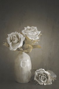  von Cicek Kiral
