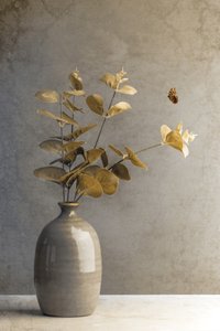  von Cicek Kiral