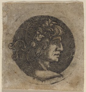Kopf eines römischen Kaisers von Circle of Francesco Francia